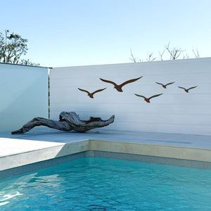 Outdoor Wall Art - birds in corten steel and a piece of driftwood by a pool.by a pool in New Zealand.