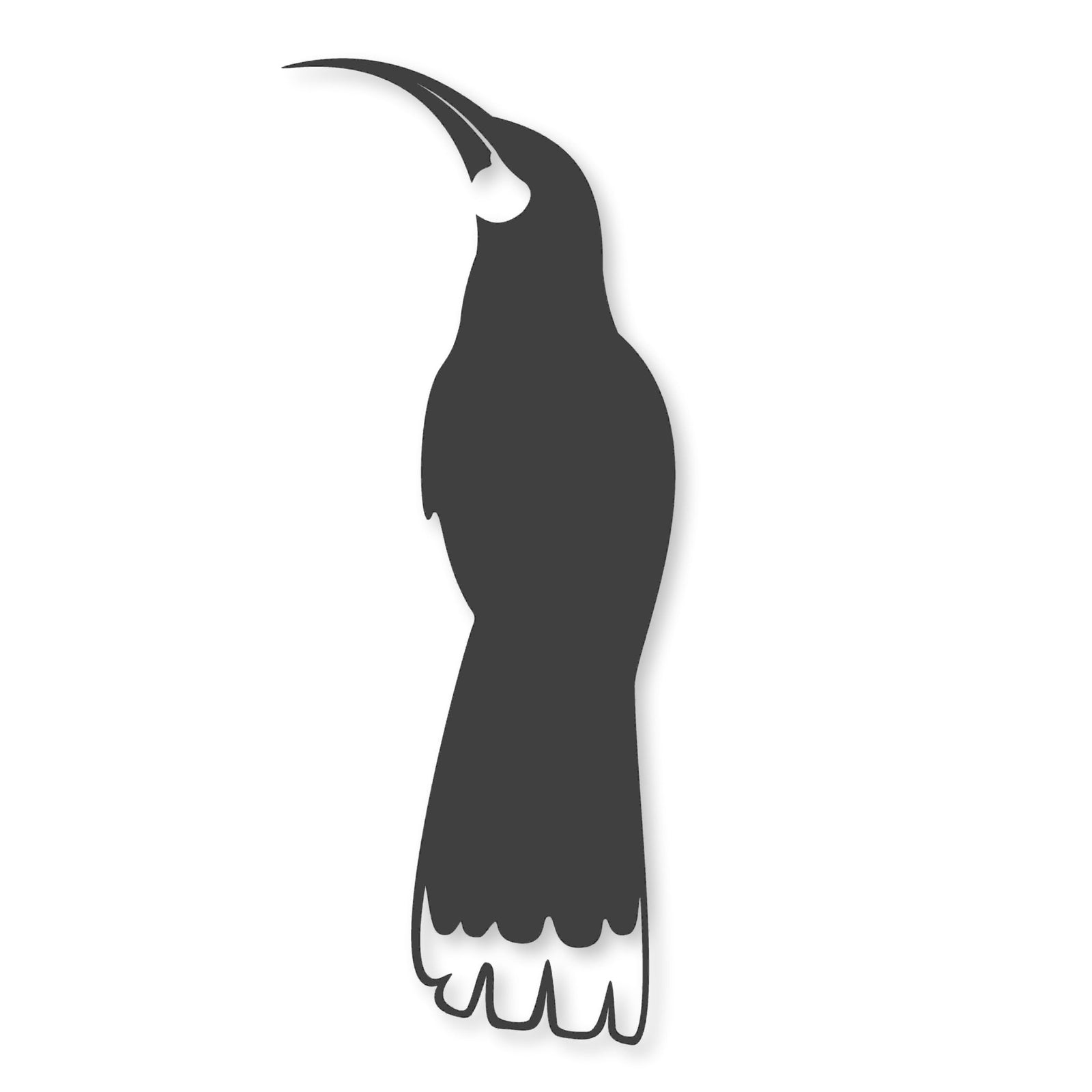 Huia Bird NZ.  Bird Wall silhouette.  New Zealand bird art by LisaSarah