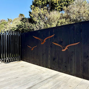 Large corten steel bird facing right with cut-out detail on black wooden fence in NZ backyard. 