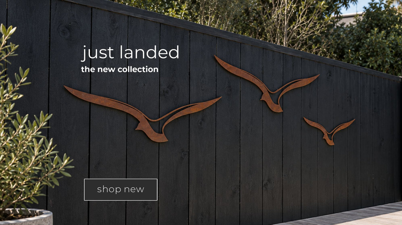 Corten steel albatross wall art on a black outdoor fence. 