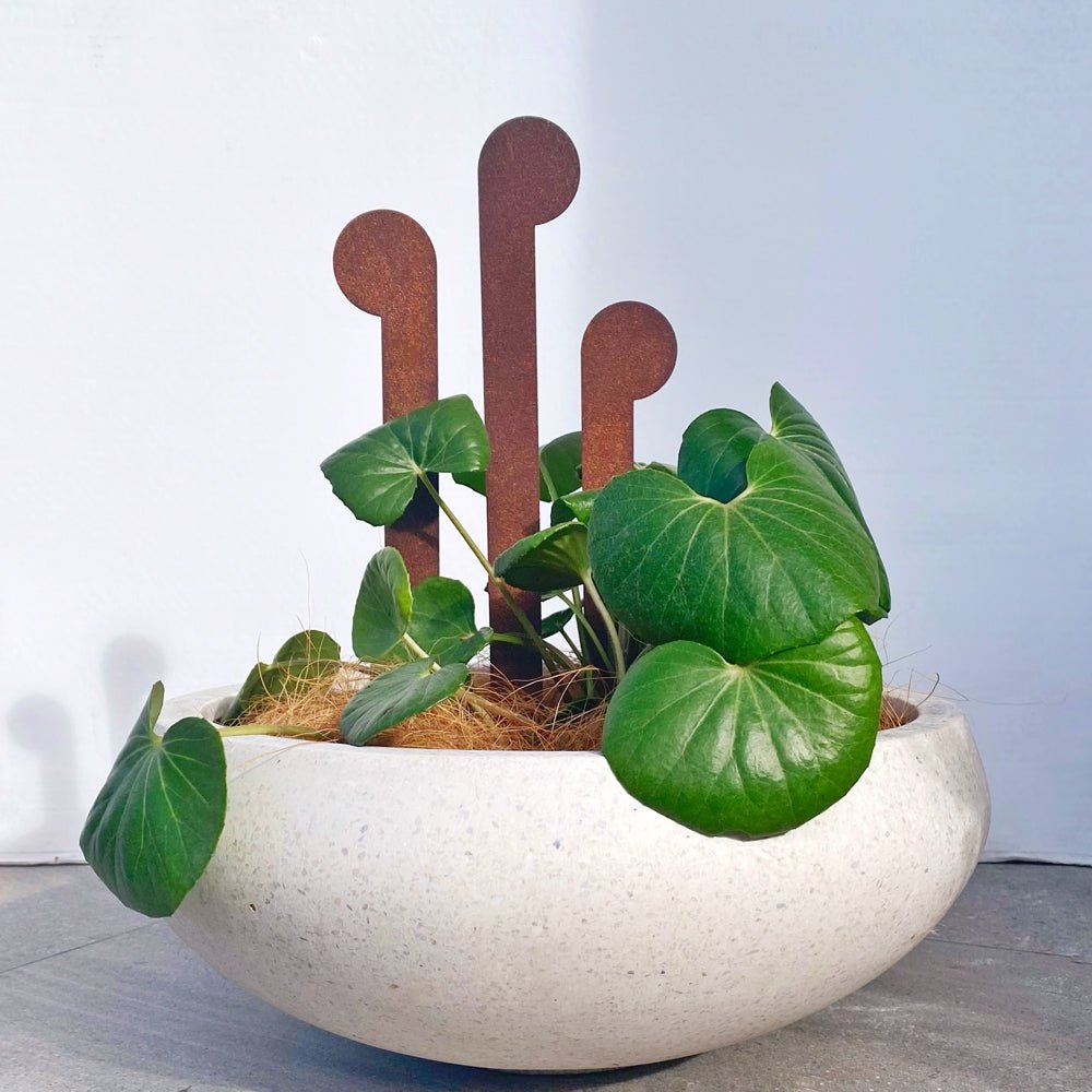 NZ Garden Ornament, Gardener Gift.  Corten steel koru planter stakes art by LisaSarah Steel Designs