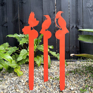 Steel garden birds in modern New Zealand garden