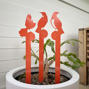 Bright orange plant art in a white planter in a modern home in NZ