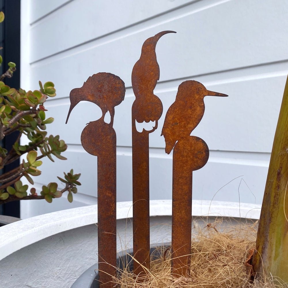 NZ bird designer artwork, kiwi, huia and kingfisher for garden. 