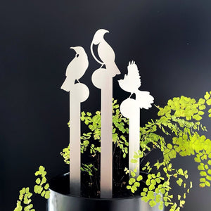 NZ native bird stakes in marine grade brushed stainless steel.  Tui, kereru and fantail. 