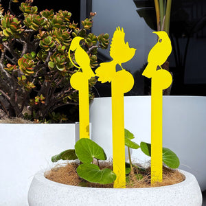 NZ birds in yellow - planter decor in planter at a NZ front door. 